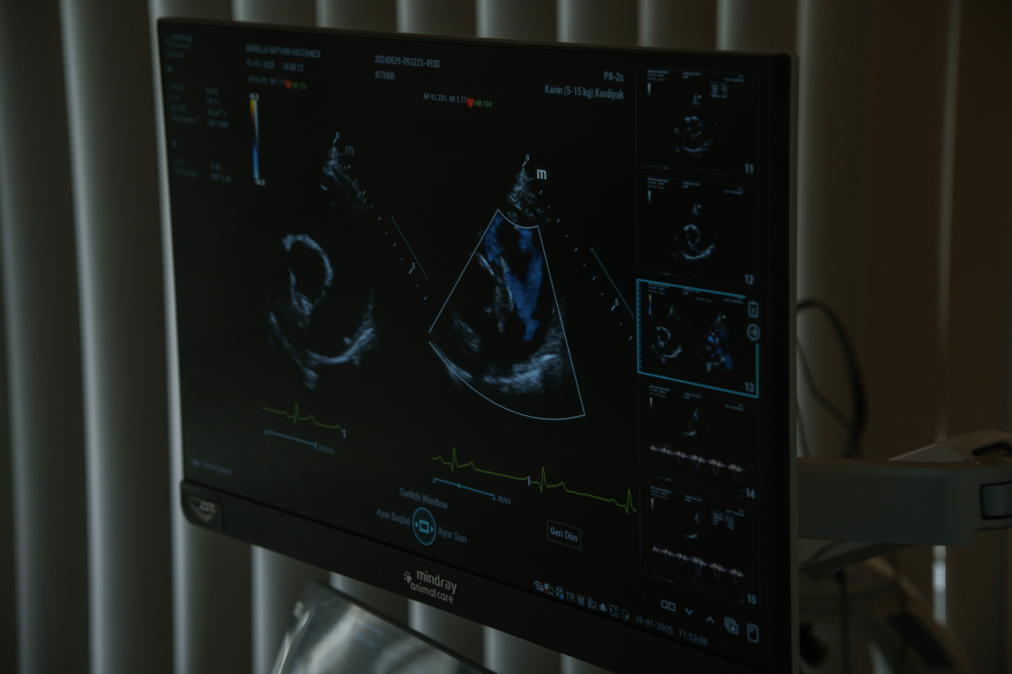 Armilla Hayvan Hastanesi