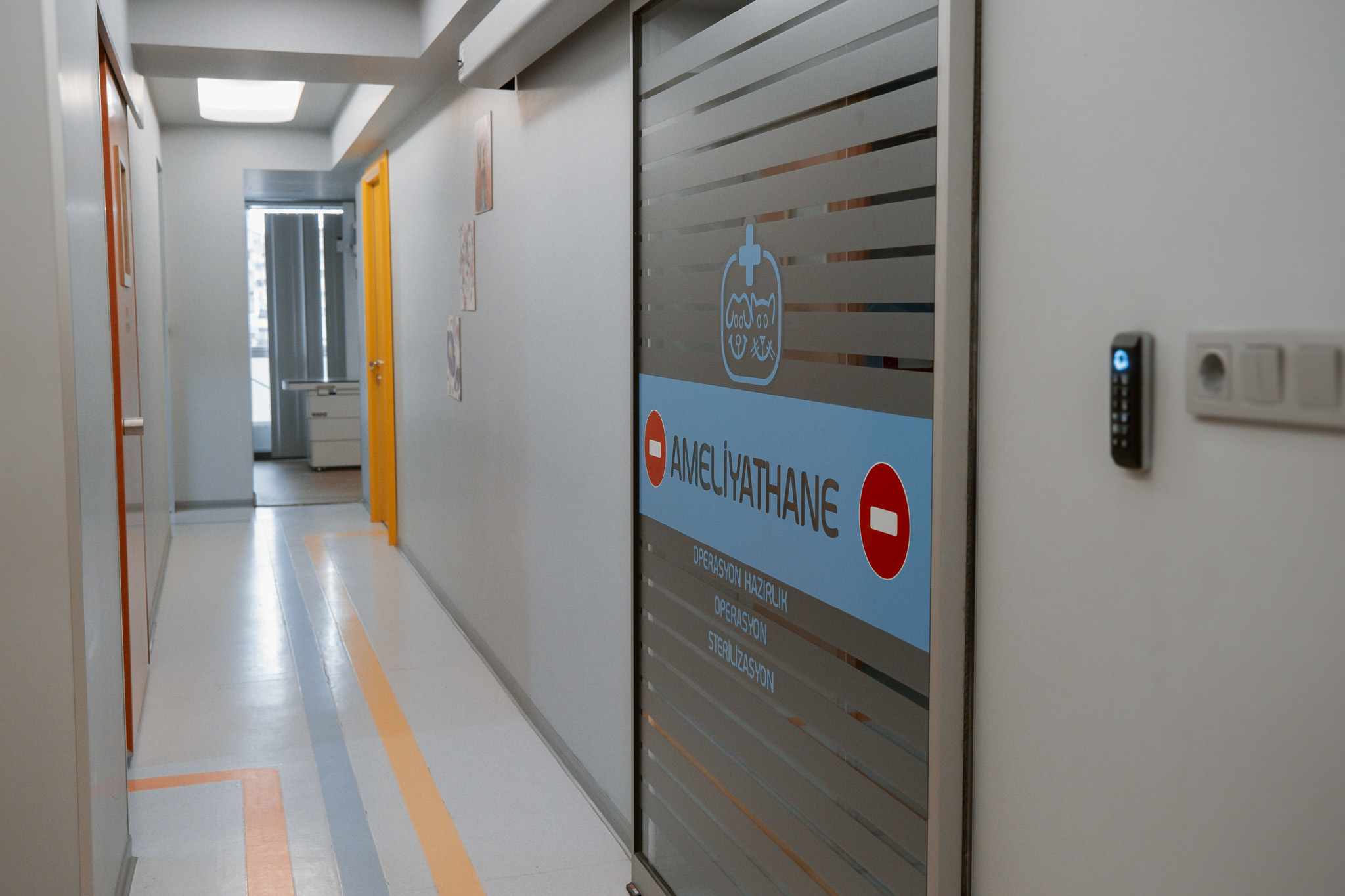 Armilla Hayvan Hastanesi