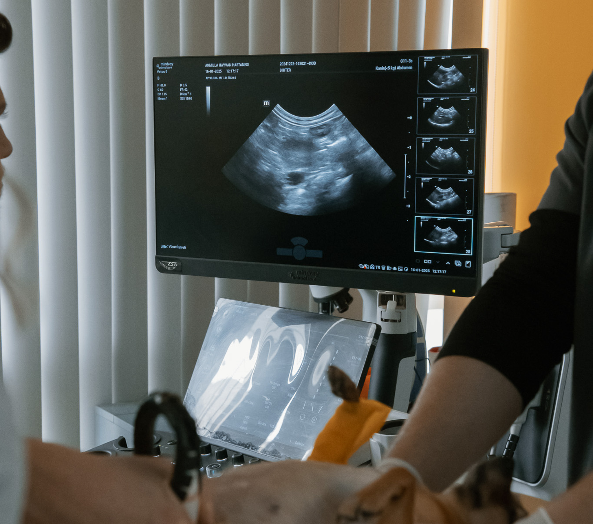 Armilla Hayvan Hastanesi